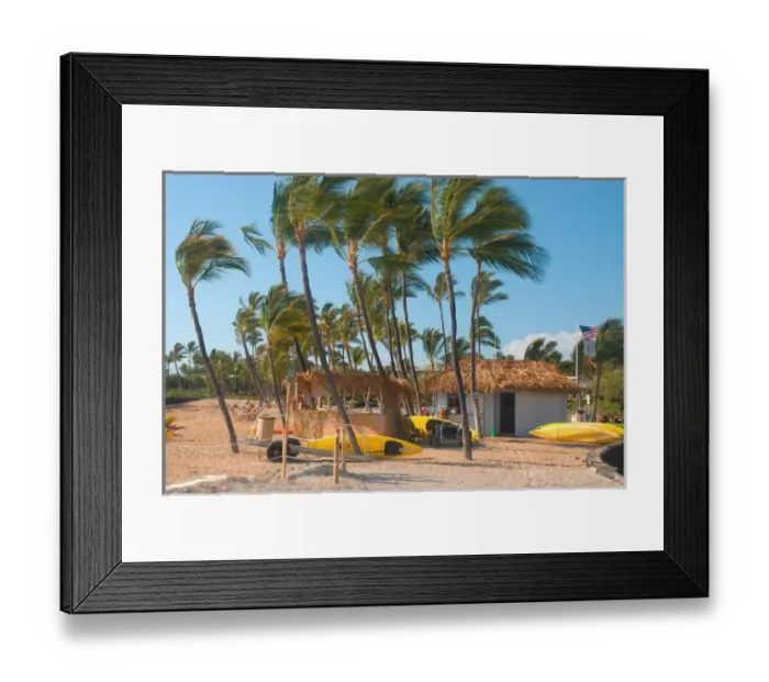 Framed Print : Hawaii, Big Island, Kohala Coast. Anaeho omalu Beach. Palm trees and kayaks Framed Print : Hawaii, Big Island, Kohala Coast. Anaeho omalu Beach. Palm trees and kayaks