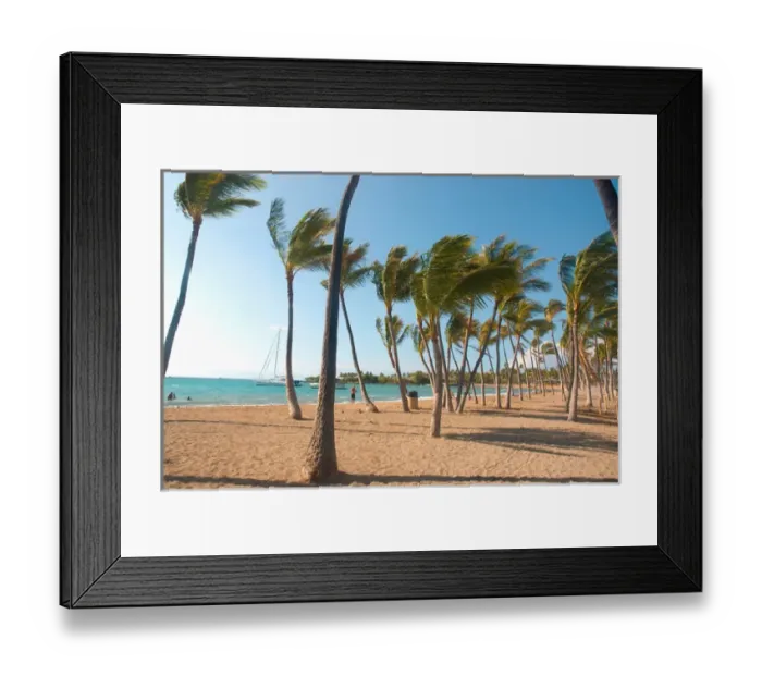 Framed Print : Hawaii, Big Island, Kohala Coast. Anaeho omalu Beach. Palm trees Framed Print : Hawaii, Big Island, Kohala Coast. Anaeho omalu Beach. Palm trees