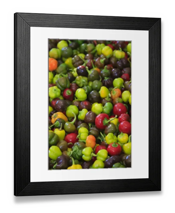 Framed Print : North America, USA, Georgia; Savannah; Organic peppers at a farmers market Framed Print : North America, USA, Georgia; Savannah; Organic peppers at a farmers market