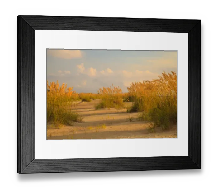 Framed Print : USA; North America; Georgia; Tybee Island; Sea Oats and dunes on Tybee Island Framed Print : USA; North America; Georgia; Tybee Island; Sea Oats and dunes on Tybee Island
