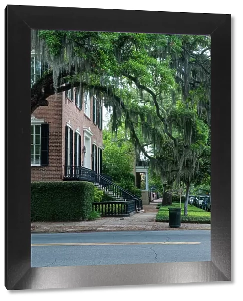 USA, GA, Savannah, Historic District Residential Street