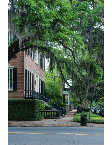 USA, GA, Savannah, Historic District Residential Street