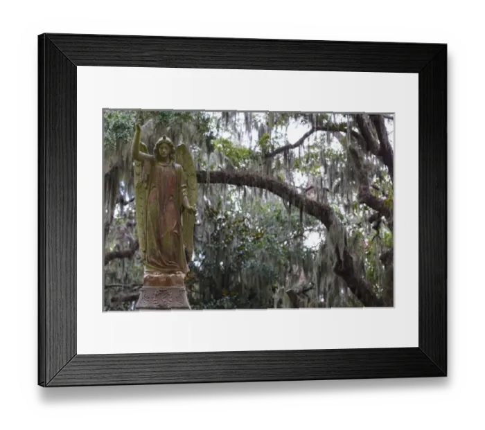 Framed Print : USA, Georgia, Savannah, Bonaventure Cemetery