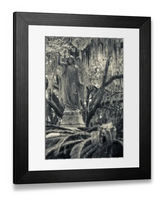 Framed Print : USA, Georgia, Savannah, Bonaventure Cemetery