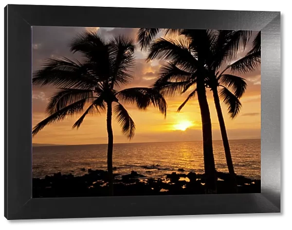 USA, Hawaii, Maui, Kihei. Palm tree sunset