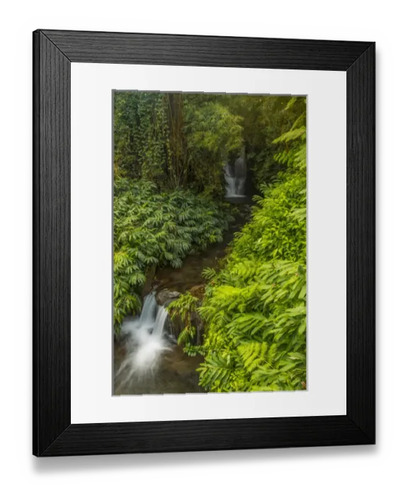 Framed Print : USA, Hawaii, The Big Island, Akaka Falls State Park. Cascades in small stream. Credit as Framed Print : USA, Hawaii, The Big Island, Akaka Falls State Park. Cascades in small stream. Credit as