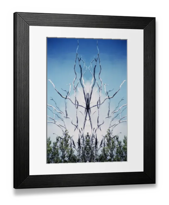 Framed Print : USA, Hawaii, Hawaii Volcanoes National Park. Montage of dead trees and regrowth. Credit as Framed Print : USA, Hawaii, Hawaii Volcanoes National Park. Montage of dead trees and regrowth. Credit as