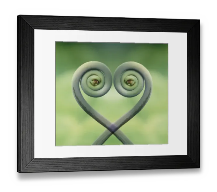 Framed Print : USA, Hawaii. Frond montage at Akaka Falls State Park