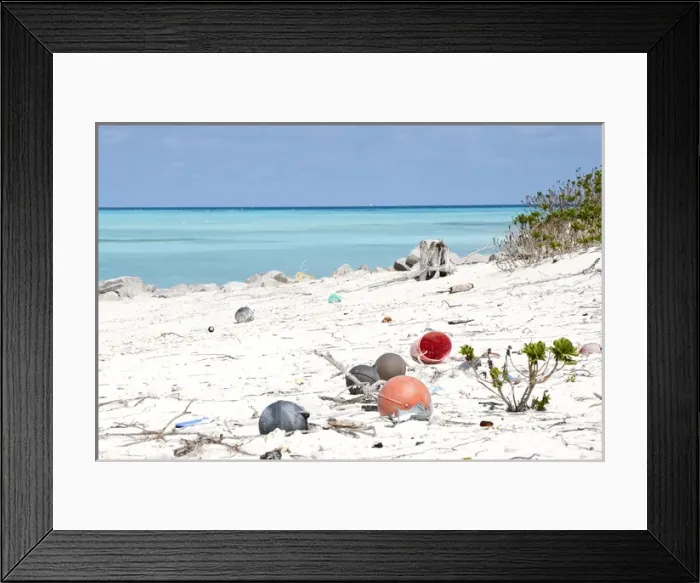 Framed Print : Fifty tons of plastic arrive at Midway each year brought by circular currents, known