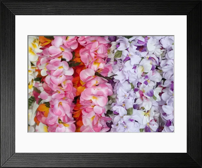 Framed Print : Hawaiian flower garlands display at market place Framed Print : Hawaiian flower garlands display at market place
