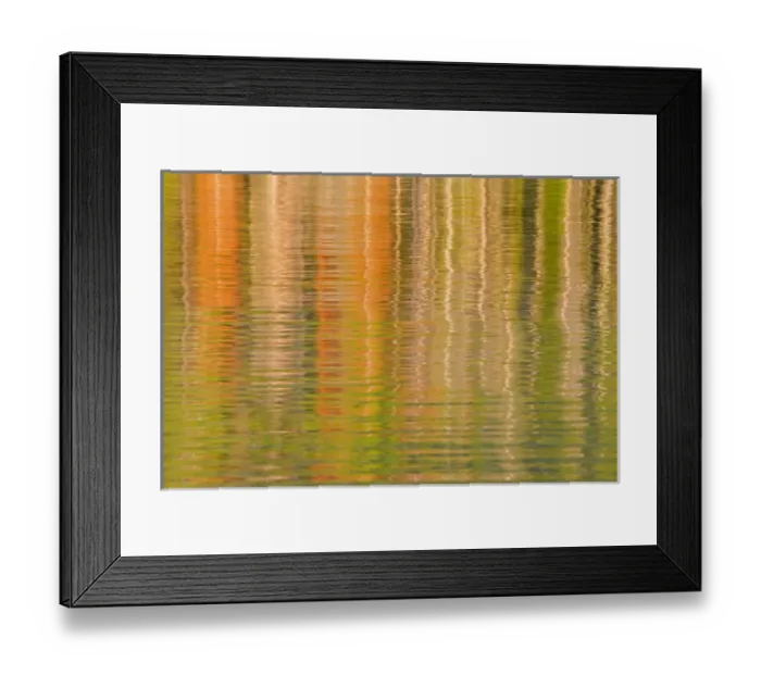 Framed Print : USA, Idaho. Reflections on Redfish Lake. Credit as: Don Paulson / Jaynes Gallery / DanitaDelimont Framed Print : USA, Idaho. Reflections on Redfish Lake. Credit as: Don Paulson / Jaynes Gallery / DanitaDelimont