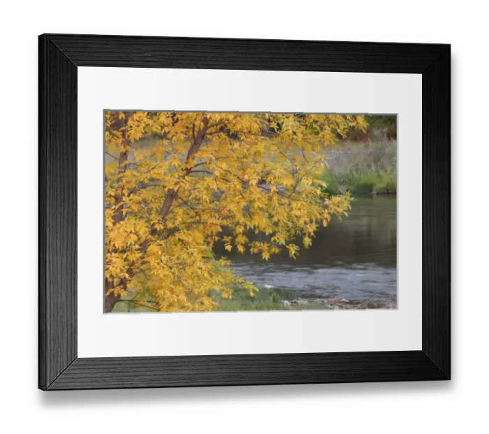 Framed Print : USA, Idaho, Salmon River, Fall