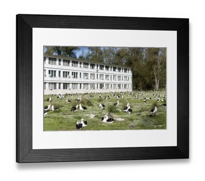 Framed Print : The old military barrack has been transformed in a cozy lodge for visitors Framed Print : The old military barrack has been transformed in a cozy lodge for visitors