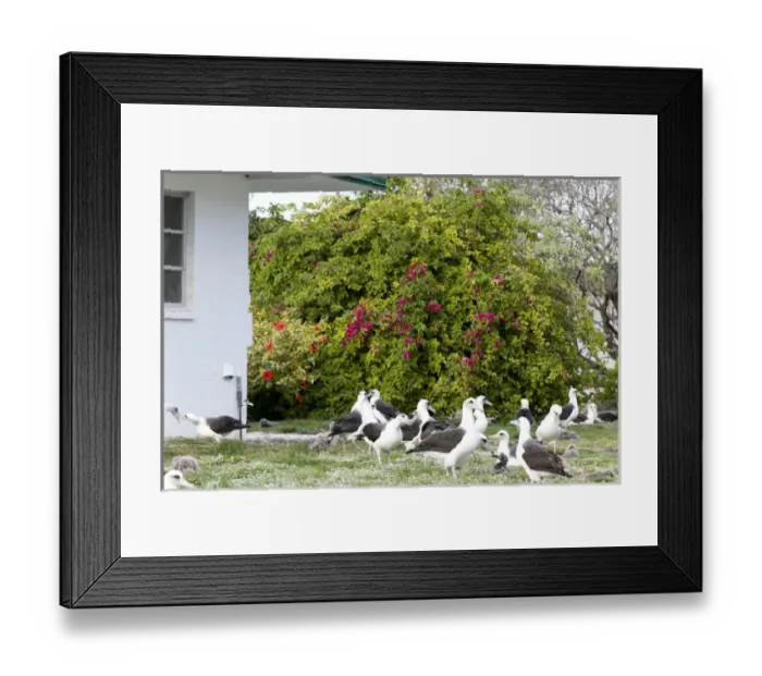 Framed Print : The old military barrack has been transformed in a cozy lodge for visitors Framed Print : The old military barrack has been transformed in a cozy lodge for visitors