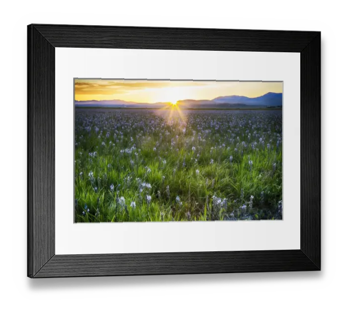 Framed Print : North America; USA; Idaho; Fairfield; Camas Prairie; Sunset in the Camas Prairie Framed Print : North America; USA; Idaho; Fairfield; Camas Prairie; Sunset in the Camas Prairie