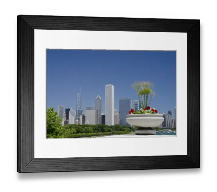 Framed Print : Illinois, Chicago. Downtown skyline view with flowers Framed Print : Illinois, Chicago. Downtown skyline view with flowers