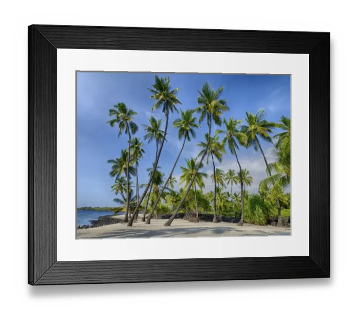 Framed Print : USA, Hawaii, Big Island. Palm trees at the National Historic Park Pu uhonua o Framed Print : USA, Hawaii, Big Island. Palm trees at the National Historic Park Pu uhonua o