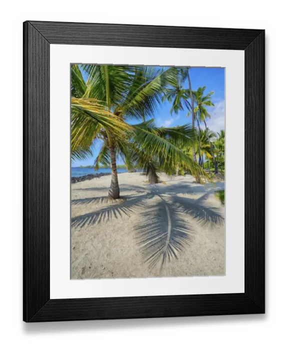 Framed Print : USA, Hawaii, Big Island. Palm trees at the National Historic Park Pu uhonua o Framed Print : USA, Hawaii, Big Island. Palm trees at the National Historic Park Pu uhonua o