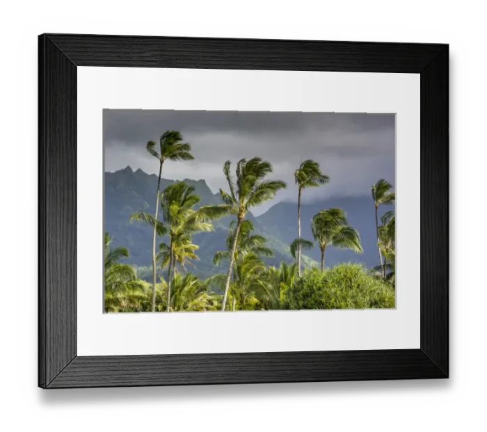 Framed Print : Hanalei Bay, Hawaii, Kauai, Palm Trees Framed Print : Hanalei Bay, Hawaii, Kauai, Palm Trees