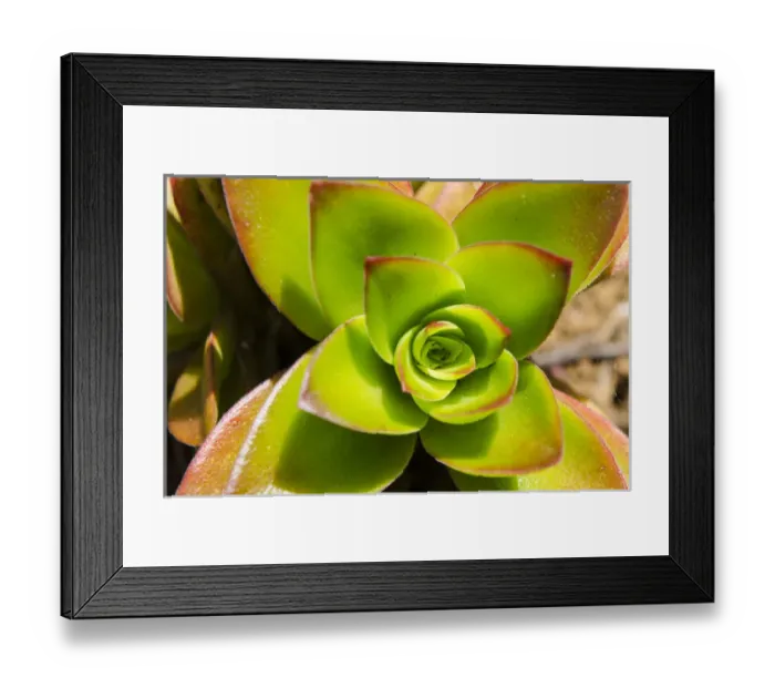 Framed Print : Na `Aina Kai Botanical Gardens & Sculpture Park, Kauai, Hawaii Framed Print : Na `Aina Kai Botanical Gardens & Sculpture Park, Kauai, Hawaii