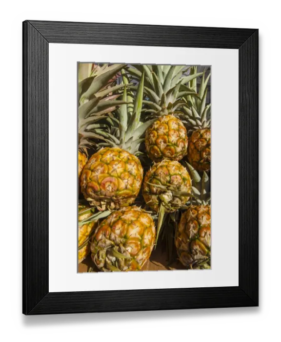 Framed Print : Fresh pineapple at the Saturday farmers market Honolulu, Oahu, Hawaii Framed Print : Fresh pineapple at the Saturday farmers market Honolulu, Oahu, Hawaii