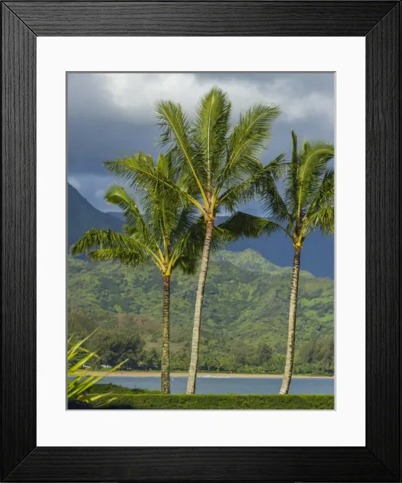 Framed Print : Hanalei Bay, Hawaii, Kauai, Pacific, Palm Trees
