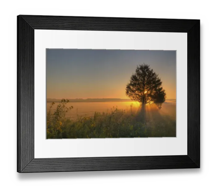 Framed Print : Sunrise at Prairie Ridge State Natural Area, Marion Co, IL Framed Print : Sunrise at Prairie Ridge State Natural Area, Marion Co, IL