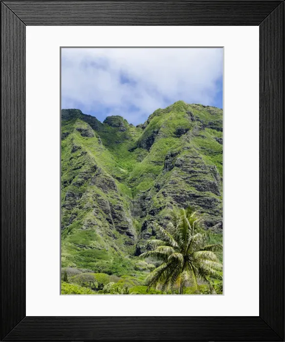 Framed Print : Hau ula Forest Reserve, Koolau Mountain Rage, Oahu, Hawaii Framed Print : Hau ula Forest Reserve, Koolau Mountain Rage, Oahu, Hawaii