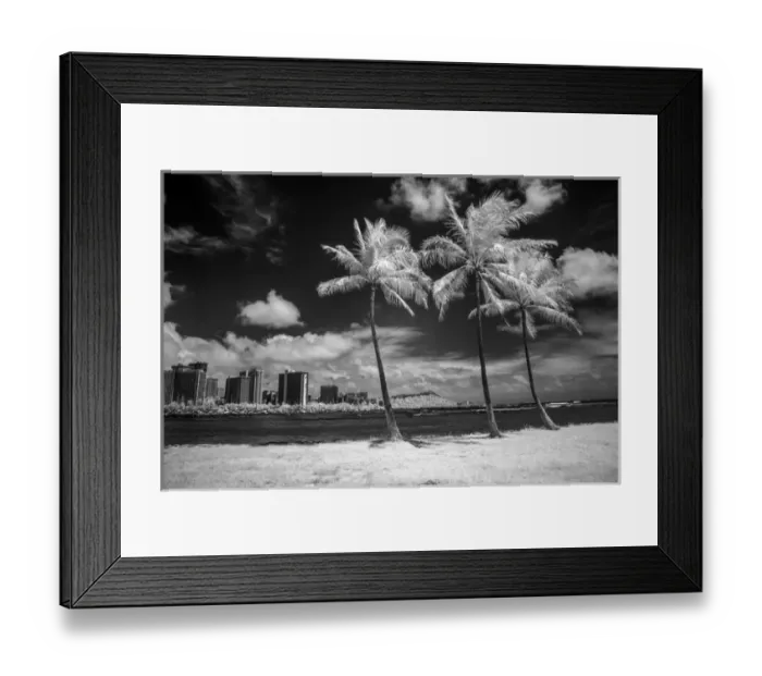 Framed Print : USA, Hawaii, Oahu, Honolulu, Palm trees on the beach Framed Print : USA, Hawaii, Oahu, Honolulu, Palm trees on the beach