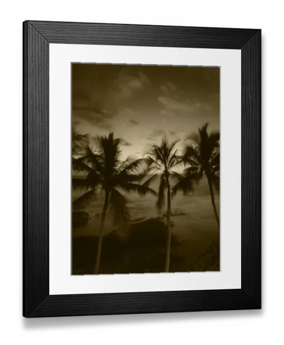Framed Print : USA, Hawaii Islands, Big Islands, Kona, View palm trees on beach Framed Print : USA, Hawaii Islands, Big Islands, Kona, View palm trees on beach