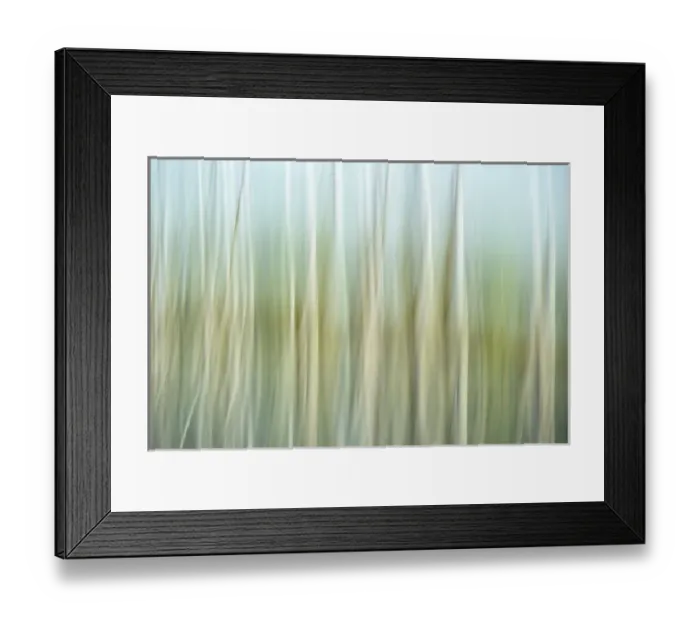 Framed Print : Artistic abstract of trees and reflections in water, Celery Bog wetlands, West Lafayette Framed Print : Artistic abstract of trees and reflections in water, Celery Bog wetlands, West Lafayette