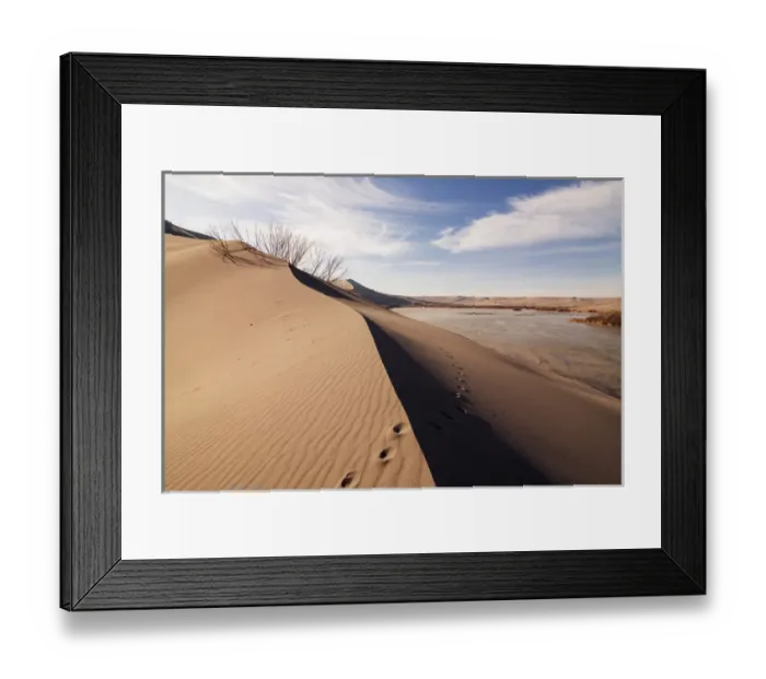 Framed Print : Sand dune formations. Bruneau Dunes State Park, ID Framed Print : Sand dune formations. Bruneau Dunes State Park, ID