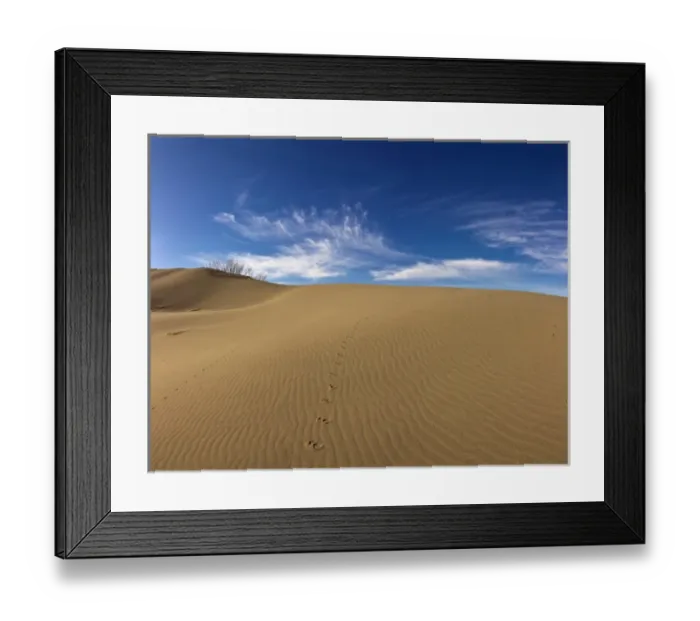 Framed Print : Wind ripples sand dunes at Bruneau Dunes, State Park. ID. Panoramic Image Framed Print : Wind ripples sand dunes at Bruneau Dunes, State Park. ID. Panoramic Image
