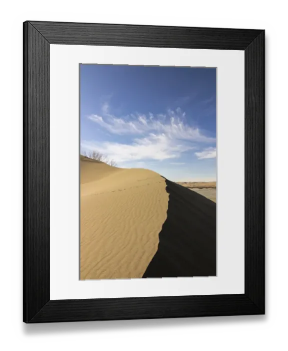 Framed Print : Sand dune ridge. Bruneau Dunes State Park, ID Framed Print : Sand dune ridge. Bruneau Dunes State Park, ID