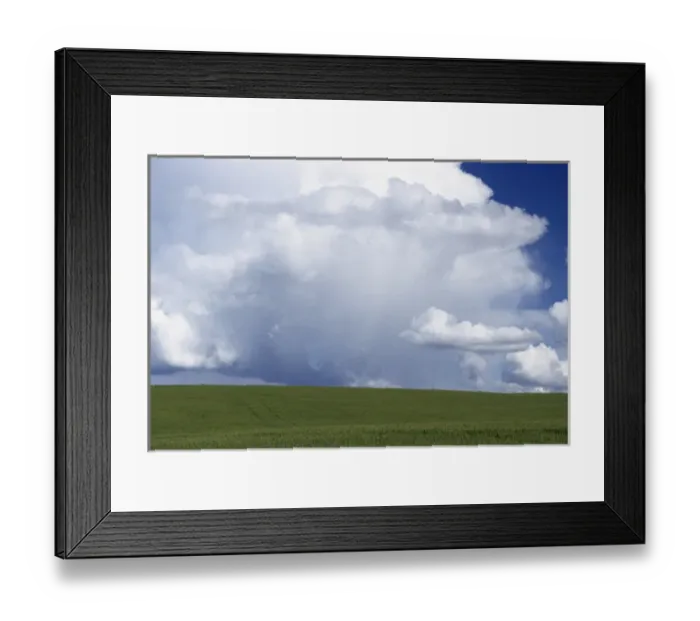 Framed Print : USA, Idaho, Green Wheat Field, Clouds, Summer, Fruitland Framed Print : USA, Idaho, Green Wheat Field, Clouds, Summer, Fruitland