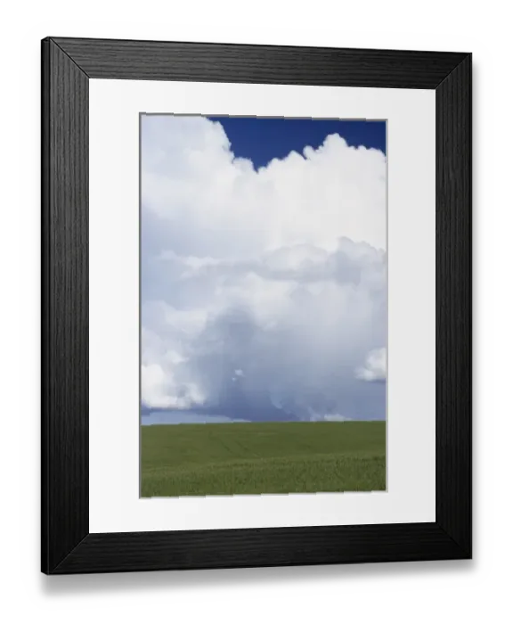 Framed Print : USA, Idaho, Green Wheat Field, Clouds, Summer, Fruitland Framed Print : USA, Idaho, Green Wheat Field, Clouds, Summer, Fruitland