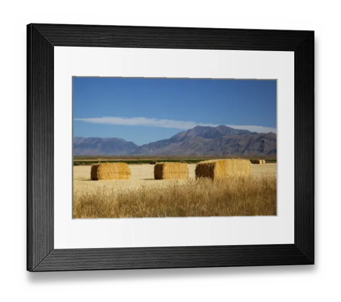 Framed Print : ID, Butte County, Hay bales Framed Print : ID, Butte County, Hay bales