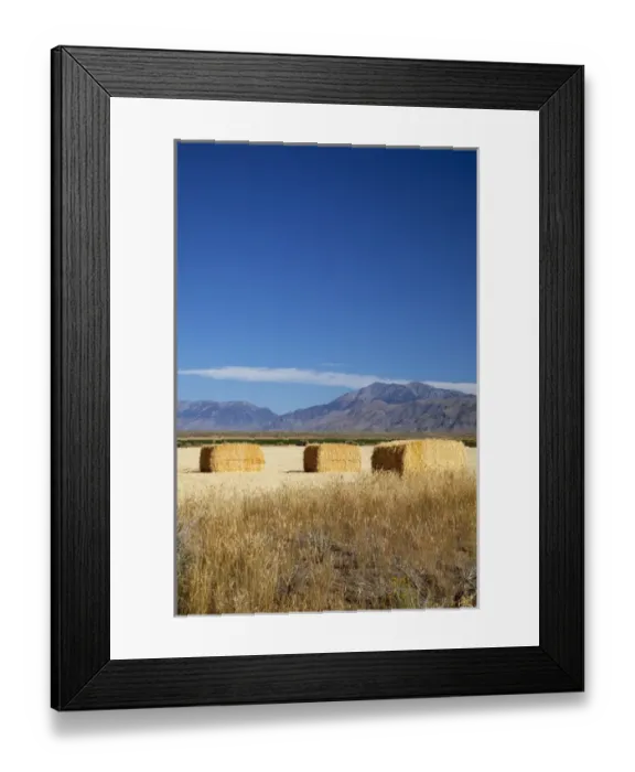 Framed Print : ID, Butte County, Hay bales Framed Print : ID, Butte County, Hay bales