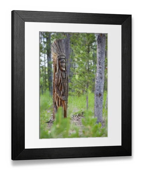 Framed Print : ID, Sawtooth National Recreation Area, Indian carving in forest tree, at Redfish Lake