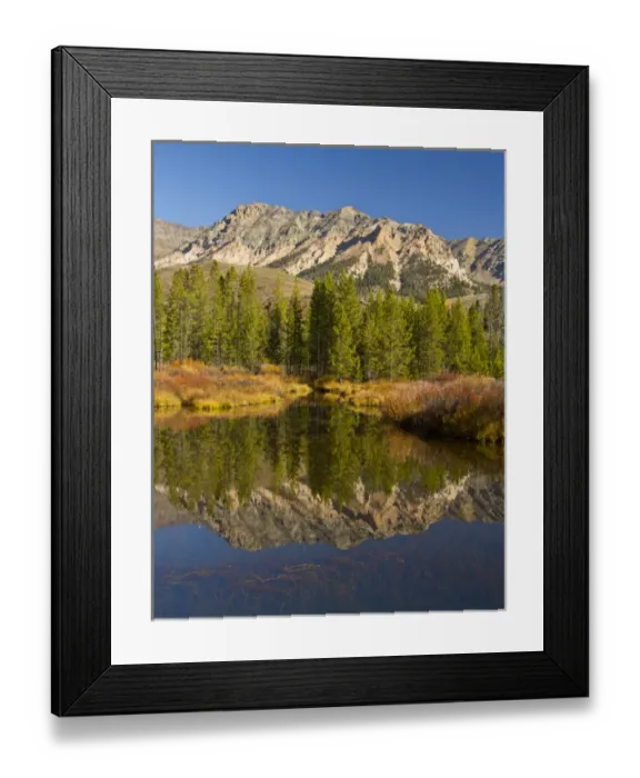 Framed Print : Evergreens; Boulder Mountains; reflection; Big Wood River; Sawtooth National Forest Framed Print : Evergreens; Boulder Mountains; reflection; Big Wood River; Sawtooth National Forest