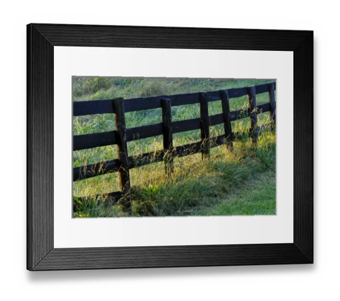 Framed Print : Farm fence at sunrise, Oldham County, Kentucky