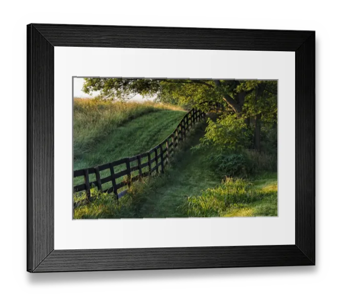 Framed Print : Farm fence at sunrise, Oldham County, Kentucky