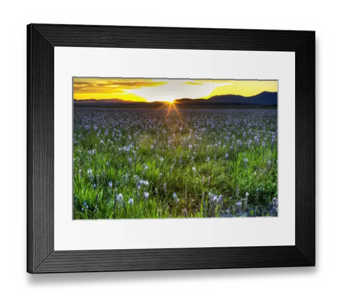 Framed Print : North America; USA; Idaho; Fairfield; Camas Prairie; Sunset in the Camas Prairie Framed Print : North America; USA; Idaho; Fairfield; Camas Prairie; Sunset in the Camas Prairie