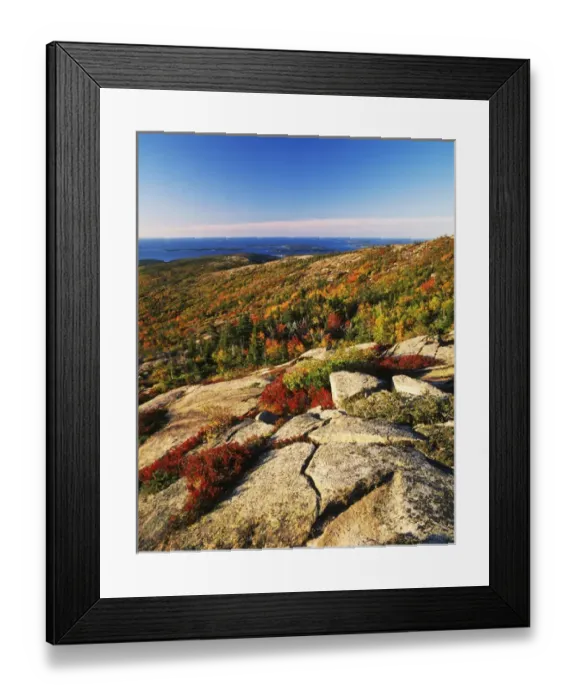 Framed Print : USA, Maine, Acadia National Park, Mt Desert Island, Autumn view from Cadillac Mountain Framed Print : USA, Maine, Acadia National Park, Mt Desert Island, Autumn view from Cadillac Mountain