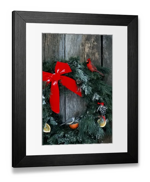Framed Print : Northern Cardinal (Cardinalis cardinalis) male & Tufted Titmouse (Baeolophus bicolor) Framed Print : Northern Cardinal (Cardinalis cardinalis) male & Tufted Titmouse (Baeolophus bicolor)