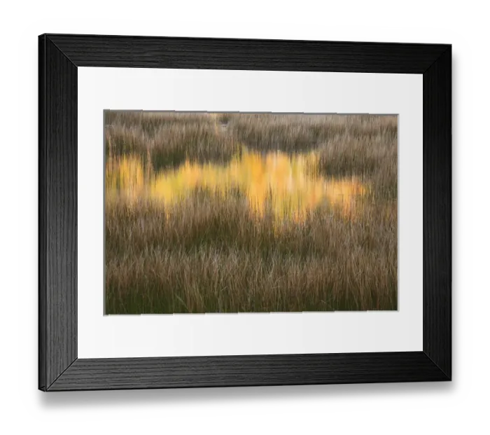 Framed Print : USA; North America, Maine; Acadia National Park; Fall reflections in the marsh Framed Print : USA; North America, Maine; Acadia National Park; Fall reflections in the marsh