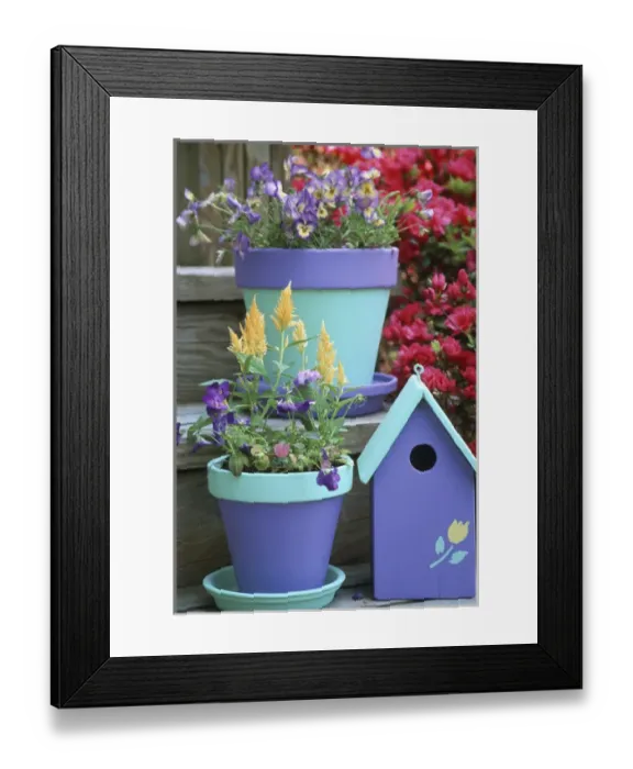 Framed Print : Containers with Sorbet Yellow Delight & Lemon Swirl Violas & Celosia with bird house