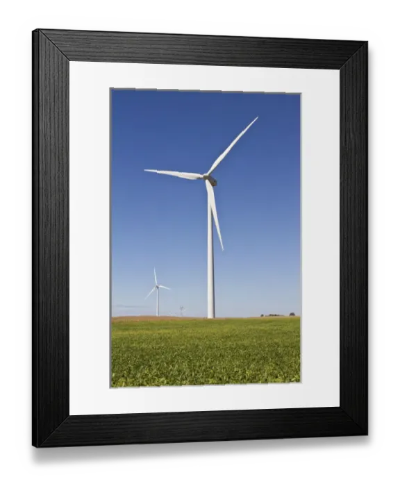 Framed Print : Windmills, Tazewell Co. IL Framed Print : Windmills, Tazewell Co. IL