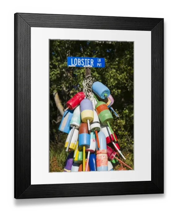Framed Print : USA, Maine, Owls Head, sign for Lobster Lane with lobster buoys