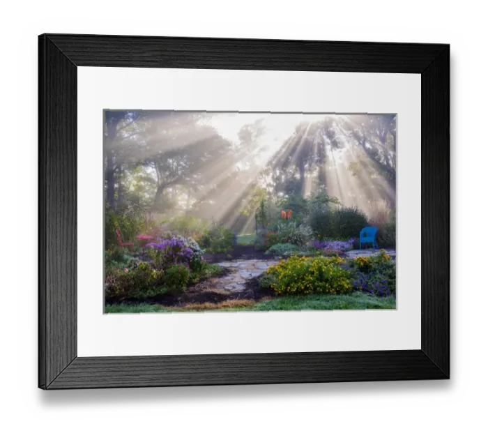 Framed Print : 63821-23701 Sun rays in fog in flower garden, Marion Co. IL